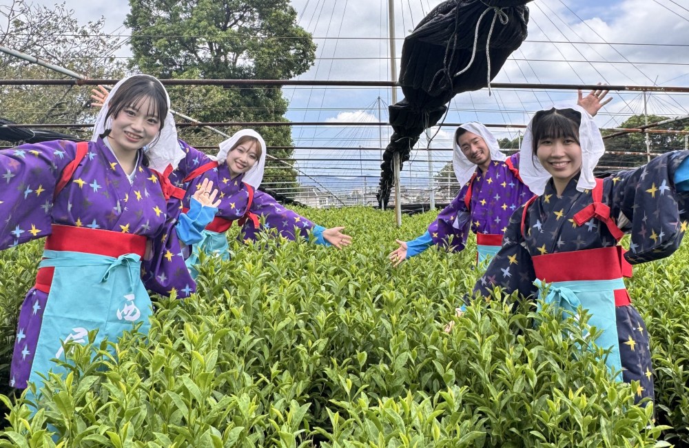 抹茶と癒しのご褒美体験