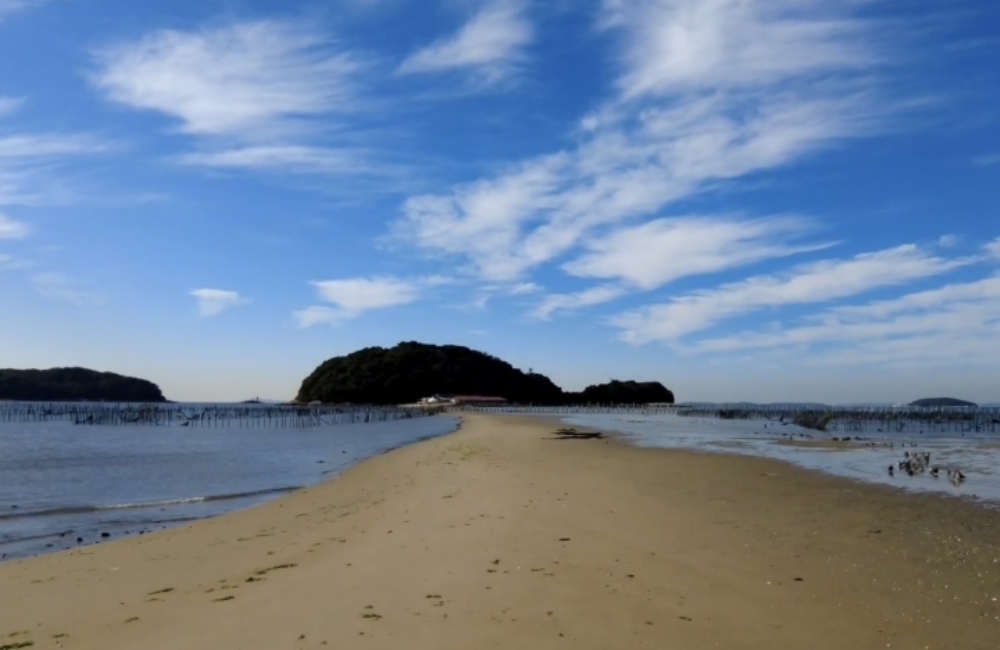 リアル謎解き 謎の孤島と宝の地図 海鮮バーベキュー