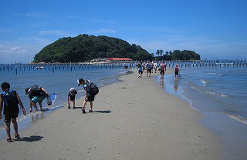 リアル謎解き 謎の孤島と宝の地図 海鮮バーベキュー