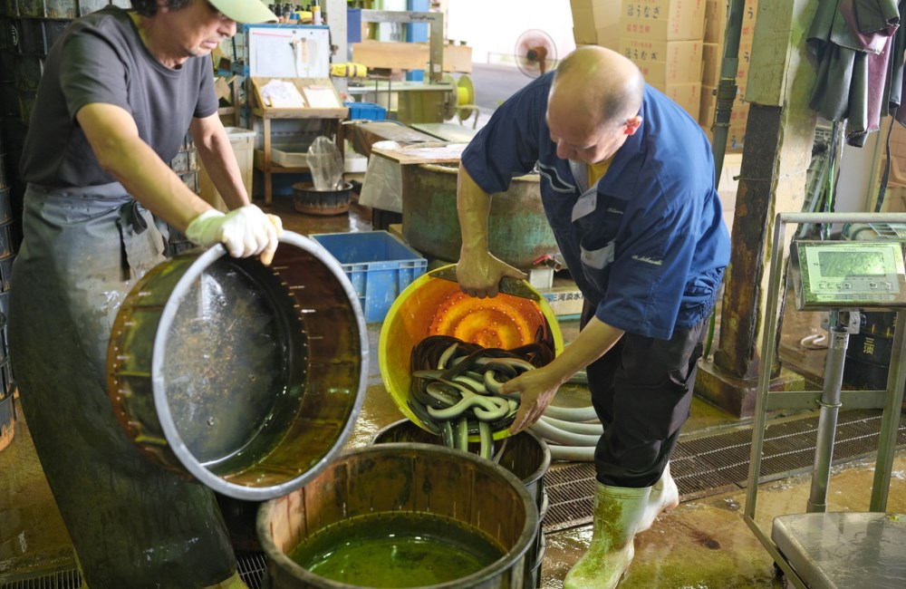 三河一色産の旨いうなぎが食べたい！養鰻100年三河淡水グループうなぎツアー《うな重、うな茶漬けお土産付き》