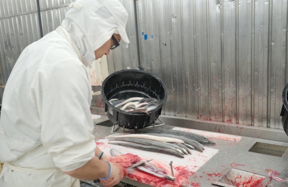 三河一色産の旨いうなぎが食べたい！養鰻100年三河淡水グループうなぎツアー《うな重、うな茶漬けお土産付き》