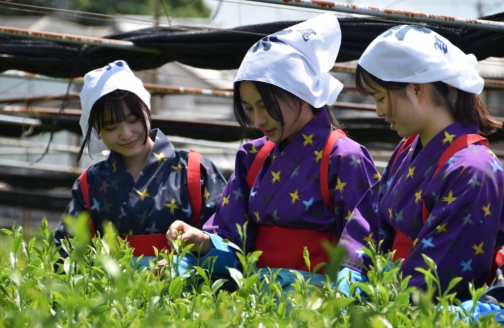 週末は西尾で！抹茶と癒しのご褒美体験