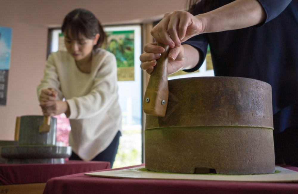 週末は西尾で！抹茶と癒しのご褒美体験