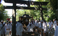 神輿の渡御