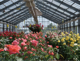 憩の農園と寄せ植え体験