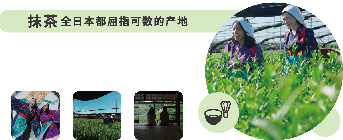 抹茶