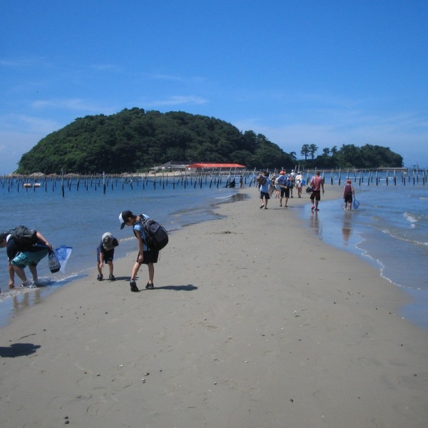 三河湾 佐久岛