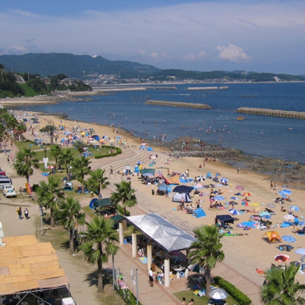 三河湾 佐久岛
