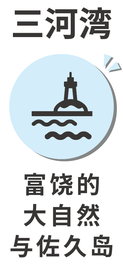 三河湾 佐久岛