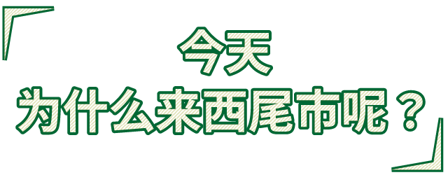 今天为什么来西尾市呢？