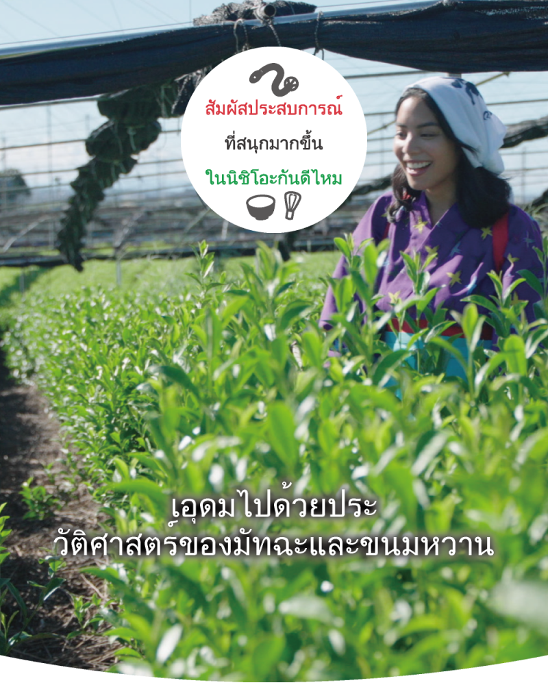 นิชิโอะมัทฉะ ครบทั้งเรื่องประวัติศาสตร์และของหวาน