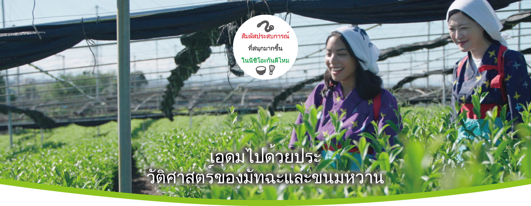 นิชิโอะมัทฉะ ครบทั้งเรื่องประวัติศาสตร์และของหวาน