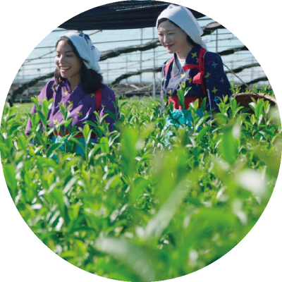 นิชิโอะมัทฉะ ครบทั้งเรื่องประวัติศาสตร์และของหวาน