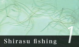Shirasu fishing