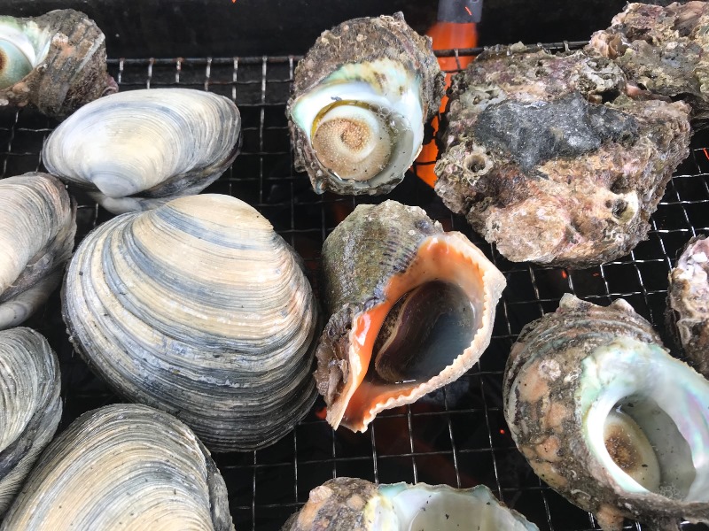 Large clams, red mussels, turban shells, rock oysters