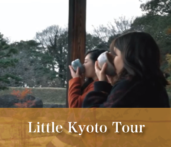 little kyoto tour