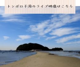 西尾のトンボロLIVE