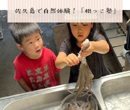 【夏休み企画】佐久島で自然体験！親子「根っこ塾」 2025夏　7/27(日)･7/29(火)･8/2(土)　