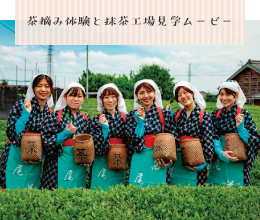 抹茶の街・西尾